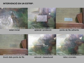 INTERVENCIÓ EN UN ESTRIP:

estrips

004613 Grup de cases SERRA MELGOSA

004613 Grup de cases SERRA MELGOSA

estat inicial

aplanat i protecció

004613 Grup de cases SERRA MELGOSA

004613 Grup de cases SERRA MELGOSA

tinció dels ponts de fils

estucat i desestucat

004613 Grup de cases SERRA MELGOSA

ponts de fils adherits

004613 Grup de cases SERRA MELGOSA

retoc cromàtic

 
