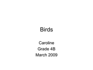 Birds Caroline Grade 4B March 2009 
