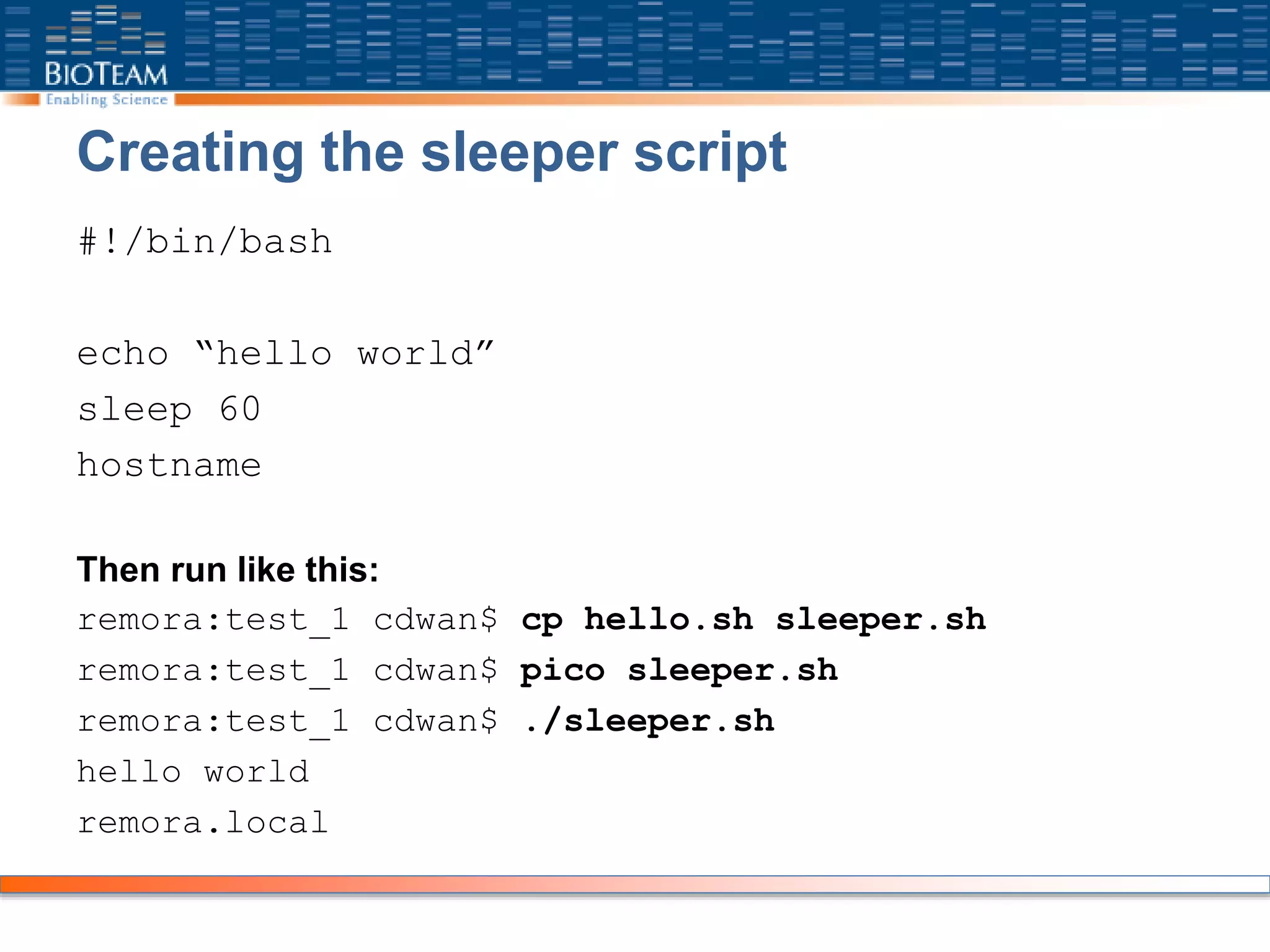Creating the sleeper script
#!/bin/bash
echo “hello world”
sleep 60
hostname
Then run like this:
remora:test_1 cdwan$ cp hello.sh sleeper.sh
remora:test_1 cdwan$ pico sleeper.sh
remora:test_1 cdwan$ ./sleeper.sh
hello world
remora.local
 