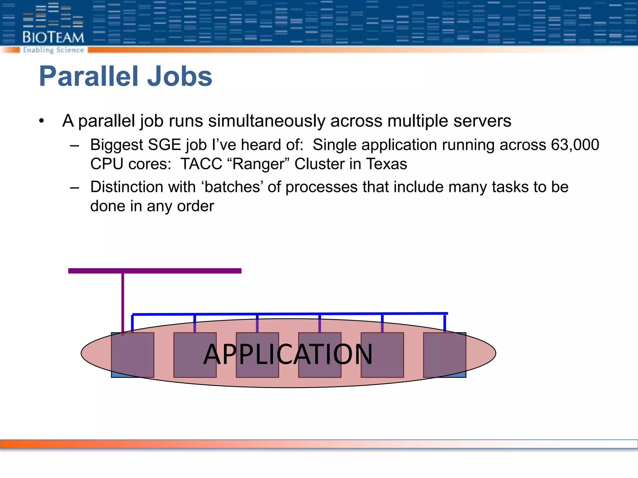Parallel Jobs
• A parallel job runs simultaneously across multiple servers
– Biggest SGE job I’ve heard of: Single application running across 63,000
CPU cores: TACC “Ranger” Cluster in Texas
– Distinction with ‘batches’ of processes that include many tasks to be
done in any order
APPLICATION
 