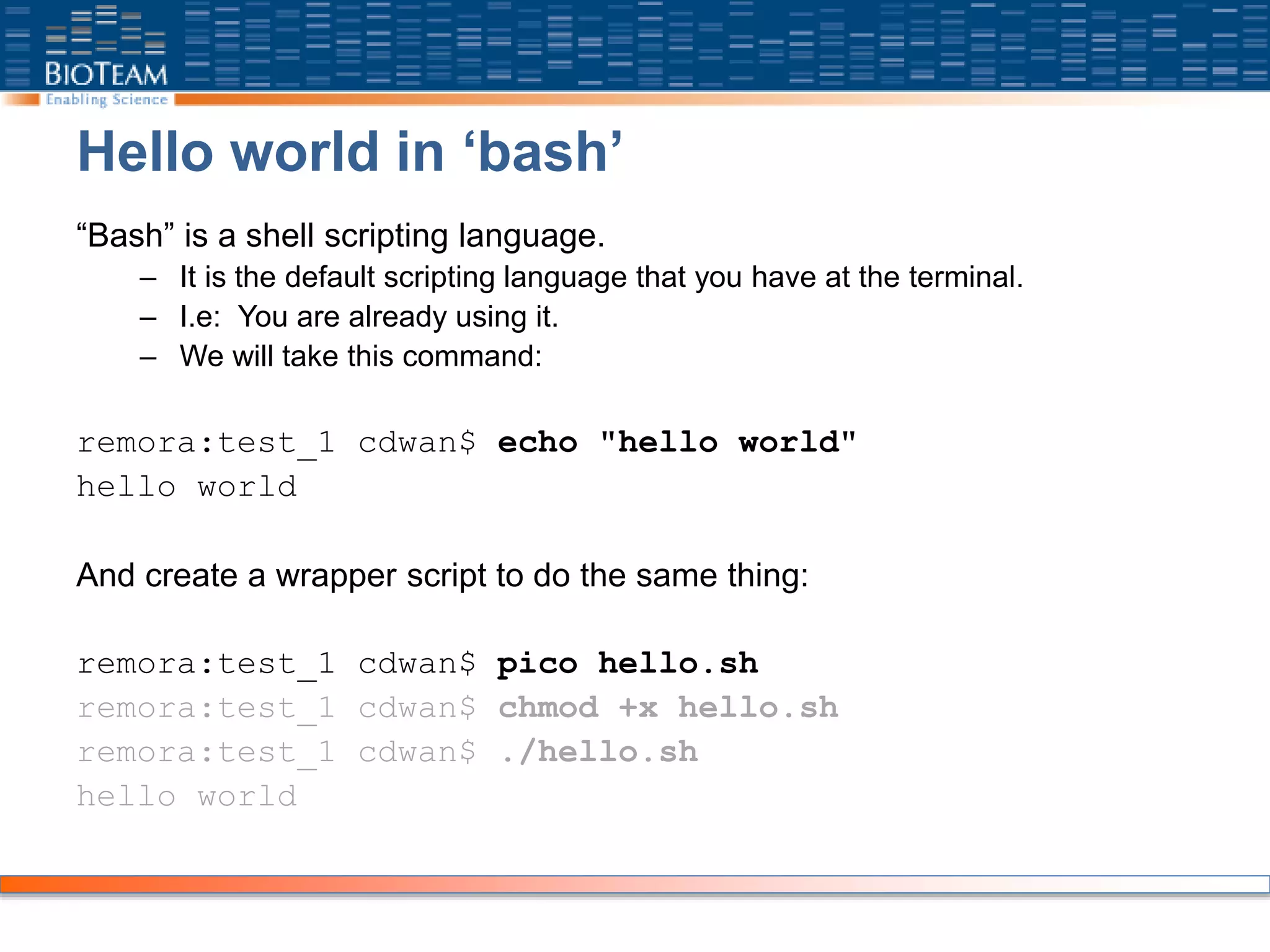 Hello world in ‘bash’
“Bash” is a shell scripting language.
– It is the default scripting language that you have at the terminal.
– I.e: You are already using it.
– We will take this command:
remora:test_1 cdwan$ echo "hello world"
hello world
And create a wrapper script to do the same thing:
remora:test_1 cdwan$ pico hello.sh
remora:test_1 cdwan$ chmod +x hello.sh
remora:test_1 cdwan$ ./hello.sh
hello world
 