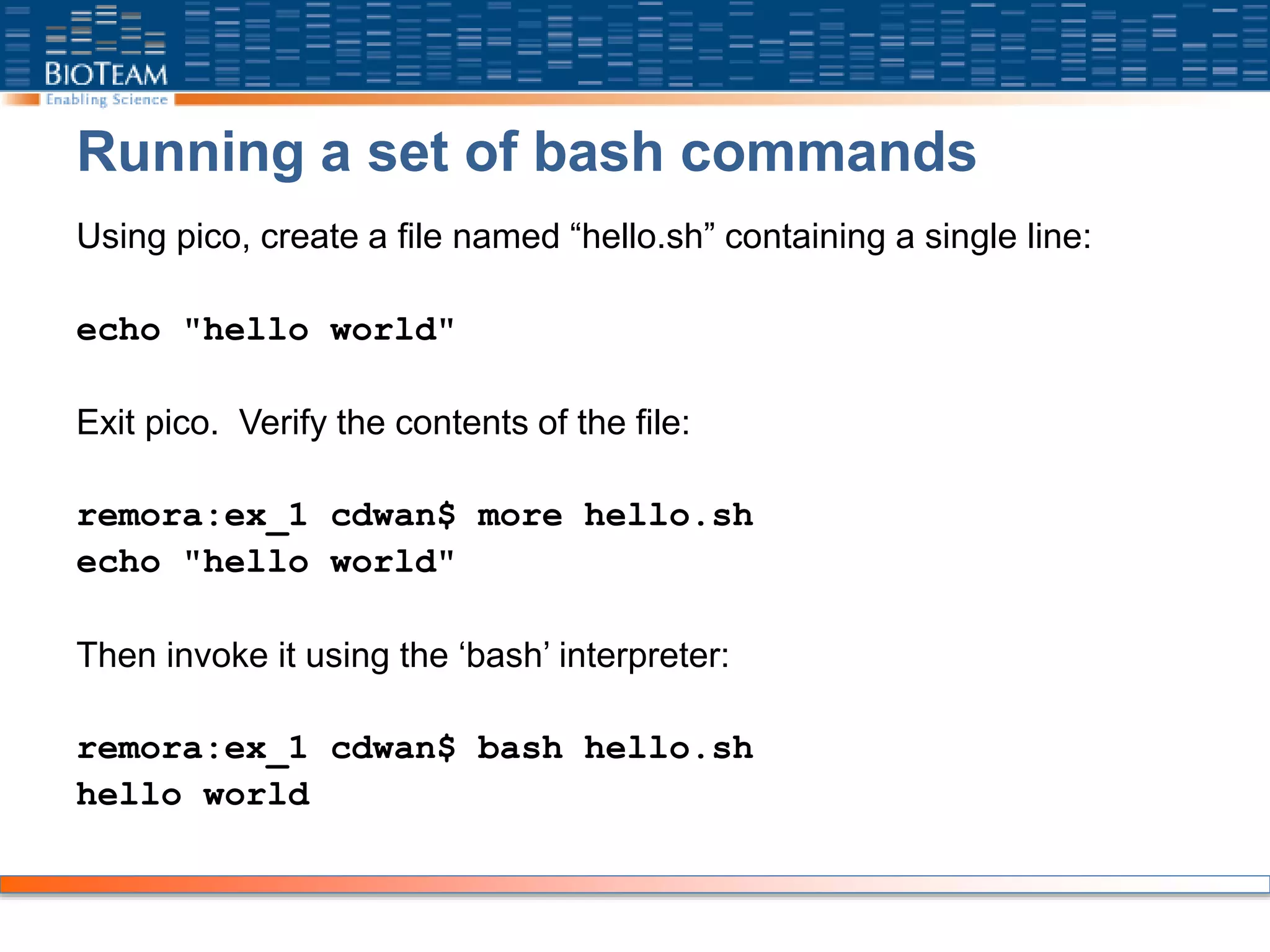 Running a set of bash commands
Using pico, create a file named “hello.sh” containing a single line:
echo "hello world"
Exit pico. Verify the contents of the file:
remora:ex_1 cdwan$ more hello.sh
echo "hello world"
Then invoke it using the ‘bash’ interpreter:
remora:ex_1 cdwan$ bash hello.sh
hello world
 