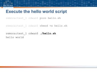 Execute the hello world script
remora:test_1 cdwan$ pico hello.sh
remora:test_1 cdwan$ chmod +x hello.sh
remora:test_1 cdwan$ ./hello.sh
hello world
 