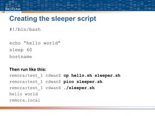 Creating the sleeper script
#!/bin/bash
echo “hello world”
sleep 60
hostname
Then run like this:
remora:test_1 cdwan$ cp hello.sh sleeper.sh
remora:test_1 cdwan$ pico sleeper.sh
remora:test_1 cdwan$ ./sleeper.sh
hello world
remora.local
 
