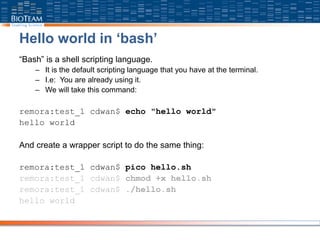 Hello world in ‘bash’
“Bash” is a shell scripting language.
– It is the default scripting language that you have at the terminal.
– I.e: You are already using it.
– We will take this command:
remora:test_1 cdwan$ echo "hello world"
hello world
And create a wrapper script to do the same thing:
remora:test_1 cdwan$ pico hello.sh
remora:test_1 cdwan$ chmod +x hello.sh
remora:test_1 cdwan$ ./hello.sh
hello world
 