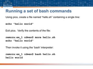 Running a set of bash commands
Using pico, create a file named “hello.sh” containing a single line:
echo "hello world"
Exit pico. Verify the contents of the file:
remora:ex_1 cdwan$ more hello.sh
echo "hello world"
Then invoke it using the ‘bash’ interpreter:
remora:ex_1 cdwan$ bash hello.sh
hello world
 