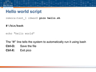 Hello world script
remora:test_1 cdwan$ pico hello.sh
#!/bin/bash
echo "hello world”
The “#!” line tells the system to automatically run it using bash
Ctrl-O: Save the file
Ctrl-X: Exit pico
 