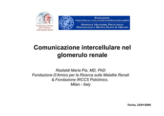 Comunicazione intercellulare nel
      glomerulo renale

            Rastaldi Maria Pia, MD, PhD
Fondazione D’Amico per la Ricerca sulle Malattie Renali
          & Fondazione IRCCS Policlinico,
                     Milan - Italy




                                                     Torino, 23/01/2009
 