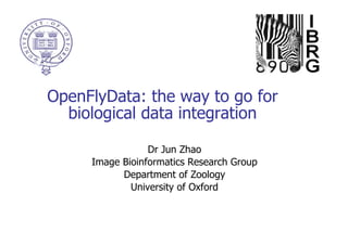 OpenFlyData: the way to go for biological data integration Dr Jun Zhao Image Bioinformatics Research Group Department of Zoology University of Oxford 