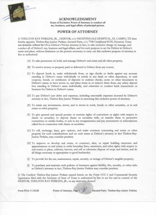 Affidavits of Thelton-Ray-Junior: Perkins (January 2009)