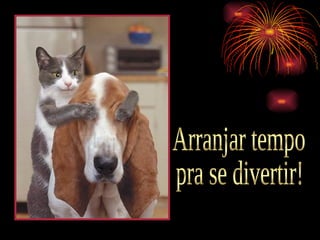 Arranjar tempo  pra se divertir! 