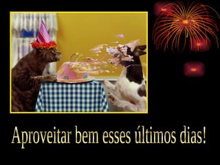 Aproveitar bem esses últimos dias! 