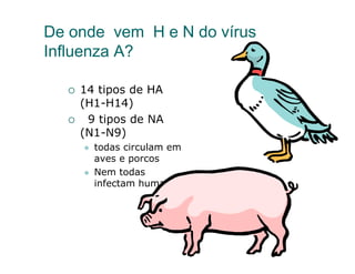 De onde vem H e N do vírus
Influenza A?

    14 tipos de HA
    (H1-H14)
     9 tipos de NA
    (N1-N9)
      todas circulam em
      aves e porcos
      Nem todas
      infectam humanos
 