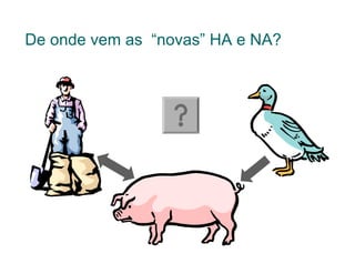 De onde vem as “novas” HA e NA?
 