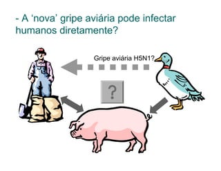 - A ‘nova’ gripe aviária pode infectar
humanos diretamente?

                  Gripe aviária H5N1?
 