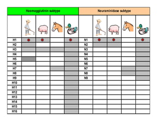 Haemagglutinin subtype        Neuraminidase subtype




H1                             N1
H2                             N2
H3                             N3
H4                             N4
H5                             N5
H6                             N6
H7                             N7
H8                             N8
H9                             N9
H10
H11
H12
H13
H14
H15
H16
 