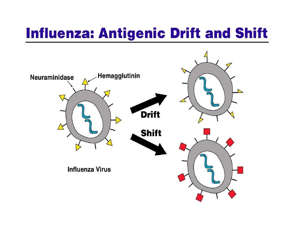 Influenza e nefrologia