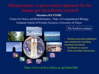 Metagenomics: a gene-centric approach for the human gut microbiome research Masahira HATTORI  Center for Omics and Bioinformatics / Dept. of Computational Biology Graduate School of Frontier Sciences, University of Tokyo http://www.cb.k.u-tokyo.ac.jp/hattorilab ・ Human-associated pathogens and commensals including intestinal microbiota ・ Symbionts in insects ・ Host-microbial interactions The Kashiwa campus 