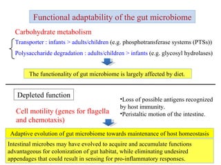 Carbohydrate metabolism Functional adaptability of the gut microbiome Transporter : infants > adults/children  (e.g. phosphotransferase systems (PTSs)) Polysaccharide degradation : adults/children > infants  (e.g. glycosyl hydrolases)   Depleted function Cell motility (genes for flagella and chemotaxis) Loss of possible antigens recognized by host immunity.  Peristaltic motion of the intestine. Adaptive evolution of gut microbiome towards maintenance of host homeostasis Intestinal microbes may have evolved to acquire and accumulate functions advantageous for colonization of gut habitat, while eliminating undesired appendages that could result in sensing for pro-inflammatory responses.  The functionality of gut microbiome is largely affected by diet.  