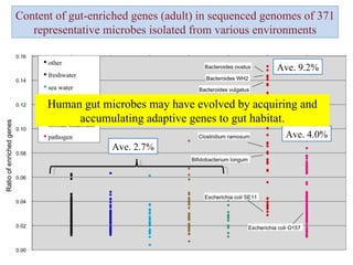 Content of gut-enriched genes (adult) in sequenced genomes of 371 representative microbes isolated from various environments Ave. 9.2% Ave. 4.0% Ave. 2.7% Human gut microbes may have evolved by acquiring and accumulating adaptive genes to gut habitat. 