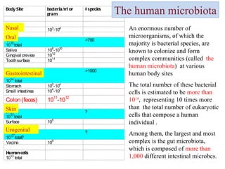 The total number of these bacterial cells is estimated to be  more than 10 14 ,  representing 10 times more than  the total number of eukaryotic cells that compose a human individual . An enormous number of microorganisms, of which the majority is bacterial species, are known to colonize and form complex communities (called  the human microbiota )  at various  human body sites The human microbiota Among them, the largest and most complex is the gut microbiota, which is composed of  more than 1,000  different intestinal microbes. B o d y S i t e b a c t e r i a / m l o r g r a m # s p e c i e s ? N o s e 1 0 3 - 1 0 4 O r a l 1 0 1 0 t o t a l > 7 0 0 S a l i v a 1 0 8 - 1 0 1 0 G i n g i v a l c r e v i c e 1 0 1 2 T o o t h s u r f a c e 1 0 1 1 G a s t r o i n t e s t i n a l T r a c t 1 0 1 4 t o t a l > 1 0 0 0 S t o m a c h 1 0 0 - 1 0 4 S m a l l i n t e s t i n e s 1 0 4 - 1 0 7 C o l o n ( f e c e s ) 1 0 1 1 - 1 0 1 2 S k i n 1 0 1 2 t o t a l ? S u r f a c e 1 0 5 U r o g e n i t a l 1 0 1 2 t o t a l ? ? V a g i n a 1 0 9 H u m a n c e l l s 1 0 1 3 t o t a l Oral Gastrointestinal Skin Urogenital Nasal 