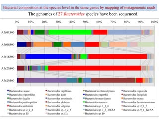 The genomes of  27  Bacteroides  species have been sequenced. Bacterial composition at the species level in the same genus  by mapping of metagenomic reads 