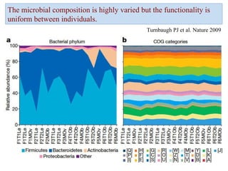 The microbial composition is highly varied but the functionality is uniform between individuals.  Turnbaugh PJ et al. Nature 2009 