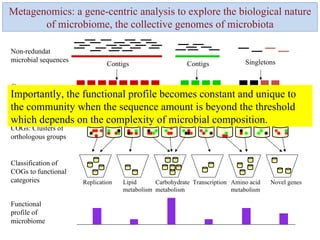 Contigs Contigs Singletons Non-redundat microbial sequences Gene set Classification of COGs to functional categories Replication Novel genes Amino acid metabolism Transcription Carbohydrate metabolism Lipid metabolism Functional profile of microbiome Metagenomics: a gene-centric analysis to explore the biological nature of microbiome, the collective genomes of microbiota Clustering and similarity search (COG assignment) COGs: Clusters of orthologous groups Importantly, the functional profile becomes constant and unique to the community when the sequence amount is beyond the threshold which depends on the complexity of microbial composition. 