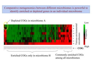 Enriched COGs only in microbiome H Comparative metagenomics between different microbiomes is powerful to identify enriched or depleted genes in an individual microbiome Frequency H High G B C D E F A COG Commonly enriched COGs among all microbiomes Various environmental microbiomes Depleted COGs in microbiome A Low 