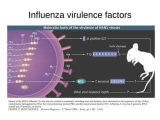 700,000 (World) 2005 34,000 deaths (USA) 
