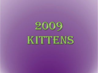 2009 Kittens 