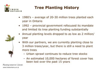 Tree Planting History 1980’s – average of 20-30 million trees planted each year in Ontario 1992 – provincial government refocused its mandate and limited its tree planting funding substantially Annual planting levels dropped to as low as 2 million/year With our partners, we are currently planting close to 3 million trees/year, but there is still a need to plant more trees Urban sprawl continues to reduce tree stocks An estimated 10,000 hectares of forest cover has been lost over the past 15 years 