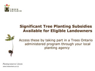 Significant Tree Planting Subsidies Available for Eligible Landowners Access these by taking part in a Trees Ontario administered program through your local planting agency  