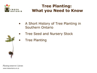Tree Planting:  What you Need to Know A Short History of Tree Planting in Southern Ontario Tree Seed and Nursery Stock Tree Planting  