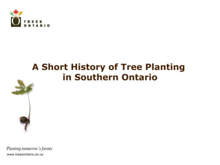 A Short History of Tree Planting  in Southern Ontario 