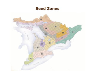 Seed Zones 