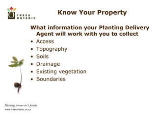 Know Your Property What information your Planting Delivery Agent will work with you to collect Access Topography Soils Drainage Existing vegetation Boundaries 