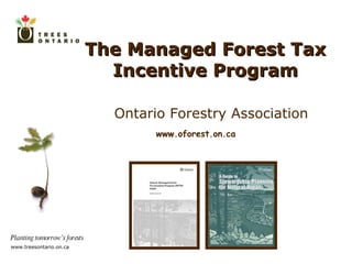 The Managed Forest Tax Incentive Program Ontario Forestry Association www.oforest.on.ca 