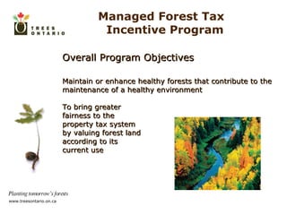 Overall Program Objectives Maintain or enhance healthy forests that contribute to the maintenance of a healthy environment To bring greater  fairness to the  property tax system by valuing forest land according to its  current use Managed Forest Tax  Incentive Program 