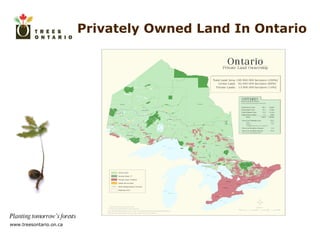 Privately Owned Land In Ontario 