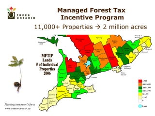 11,000+ Properties    2 million acres Managed Forest Tax  Incentive Program MFTIP  Lands # of Individual Properties 2006 