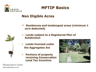 MFTIP Basics Non Eligible Acres Residences and landscaped areas (minimum 1 acre deducted)  Lands subject to a Registered Plan of Subdivision  Lands licensed under the Aggregates Act Portions of property   receiving Conservation  Land Tax Incentive 