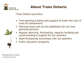 About Trees Ontario Trees Ontario provides: Tree planting funding and support to lower the cost of trees for landowners Planning tools and on-line databases for our tree planting partners Regular planning, forecasting, capacity building and communications support for our partners Seed forecasting workshops with our partners Public education programs 