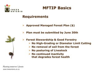 MFTIP Basics Requirements Approved Managed Forest Plan ($) Plan must be submitted by June 30th Forest Stewardship & Good Forestry  No High-Grading or Diameter Limit Cutting No removal of soil from the forest No pasturing of Livestock No continued inactivity  that degrades forest health 