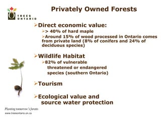 Direct economic value: > 40% of hard maple  Around 15% of wood processed in Ontario comes from private land (8% of conifers and 24% of deciduous species) Wildlife Habitat 82% of vulnerable threatened or endangered species (southern Ontario) Tourism Ecological value and  source water protection Privately Owned Forests 