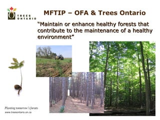 “ Maintain or enhance healthy forests that contribute to the maintenance of a healthy environment” MFTIP – OFA & Trees Ontario 
