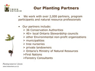 Our Planting Partners We work with over 2,000 partners, program participants and natural resource professionals Our partners include: 36 Conservation Authorities  40+ local Ontario Stewardship councils other Environmental non-profit organizations municipalities tree nurseries private landowners Ontario’s Ministry of Natural Resources First Nations Forestry Consultants 