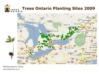 Trees Ontario Planting Sites 2009 