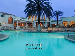 Dive into paradise… 