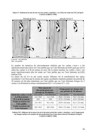 Figure 5 : Schéma de la zone de test avec les vaches « attachées » (A et B) et la vache test (TC) (d’après
                                         VAILES et BRITT 1990)

                  Période de test 1                                     période de test 2




Concrete : aire bétonnée
Dirt : aire paillée

Le nombre de tentatives de chevauchement réalisées par les vaches « tests » a été
significativement plus élevé sur l’aire paillée que sur l’aire bétonnée (p<0,05) quel que soit le
statut des vaches A et B (en œstrus ou non). De la même manière, les vaches « tests » ont
passé significativement plus de temps sur l’aire paillée que sur l’aire bétonnée (p<0,05)
(tableau VII).
La nature du sol n’a eu par contre aucune influence sur la manifestation des signes
secondaires. Ceci bien que la somme des signes secondaires exprimés pendant une période de
30 minutes ait été plus importante sur l’aire paillée que sur l’aire bétonnée lorsque les 2
vaches A et B étaient en œstrus simultanément (9,2 ± 1,6 contre 4,7 ± 1,5).

                                       Nbre moyen de
                                                                        Temps passé sur chaque aire
                                    chevauchements par
                                                                         par période de 30 minutes
                                   période de 30 minutes
Statut des vaches A et B         Aire paillée Aire bétonnée            Aire paillée         Aire bétonnée
    A et B en œstrus              3,2 ± 0,8      1,2 ± 0,4            20,4 ± 2,6 min        9,6 ± 2,6 min
  Ni A ni B en œstrus                0,0            0,0               23,5 ± 2,9 min        6,5 ± 2,9 min
  Vache en œstrus sur
                                  1,5 ± 0,7          0,1 ± 0,1        23,9 ± 2,8 min         6,1 ± 2,1 min
      l’aire paillée
  Vache en œstrus sur
                                  0,2 ± 0,2          0,8 ± 0,4        18,6 ± 3,1 min        11,4 ± 3,1 min
    l’aire bétonnée

Tableau VII : Influence de la nature du sol et du statut œstral des vaches « attachées » sur le temps passé
  sur chaque surface et le nombre de chevauchements lors d’une observation de 30 minutes (d’après
                                        VAILES et BRITT 1990)




                                                                                                           48
 